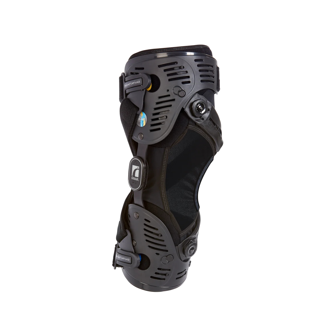 Rebound® Cartilage Custom Rebound® Cartilage Custom